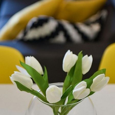 Mediterraneo Garden Apartments Petrcane Rom bilde