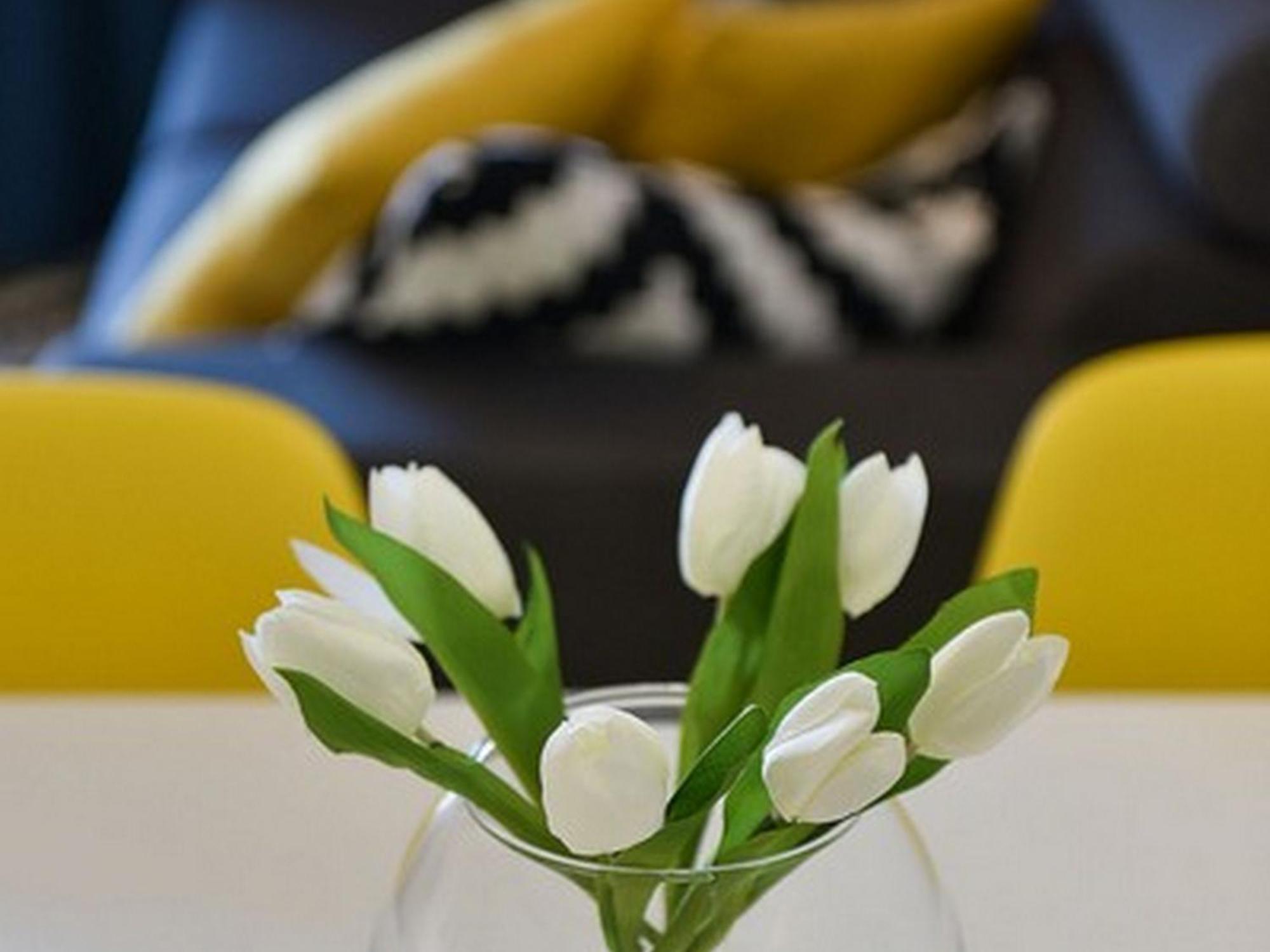 Mediterraneo Garden Apartments Petrcane Rom bilde